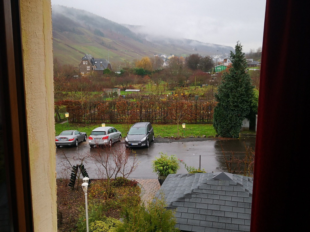 Boutique Hotel Villa Melsheimer主图