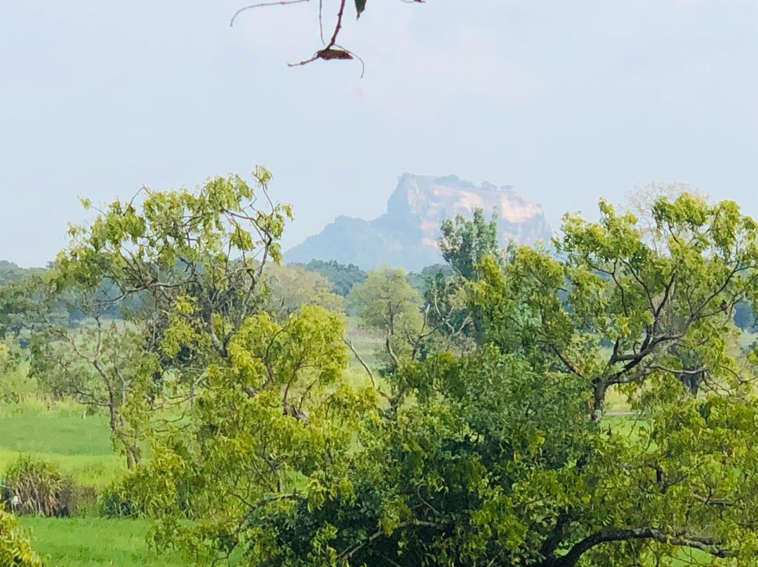 迦叶狮石酒店主图