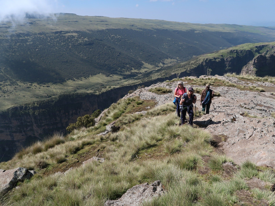 Simien Tours (and beyond) by Fenta景点图片
