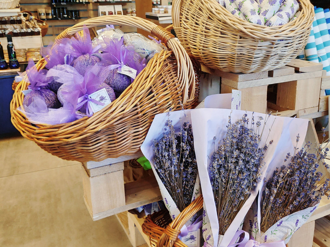 Treasures of Slovenia Portoroz-波多若斯必去景点