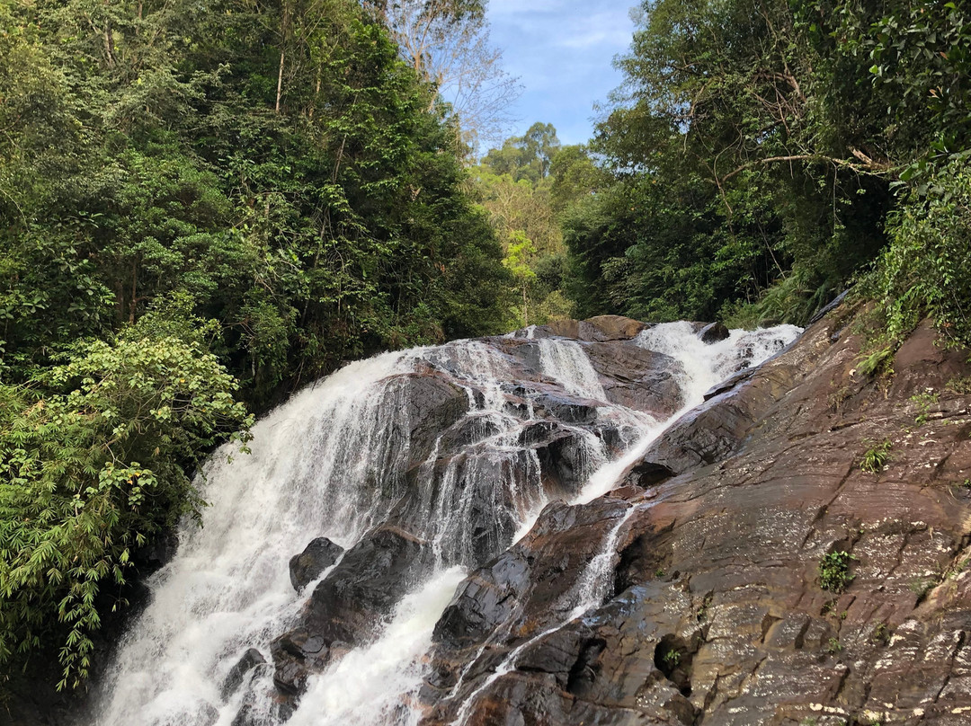 Sinharaja Vini Villa主图