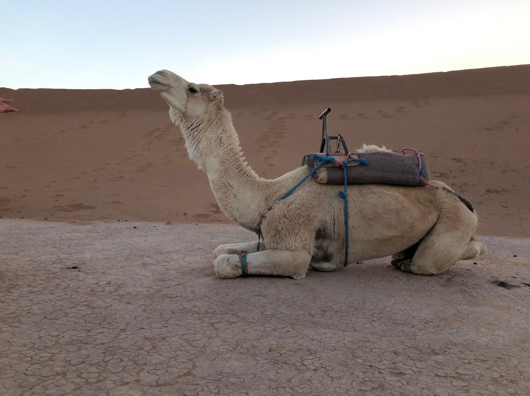 Wandern Marokko-Tabant必去景点