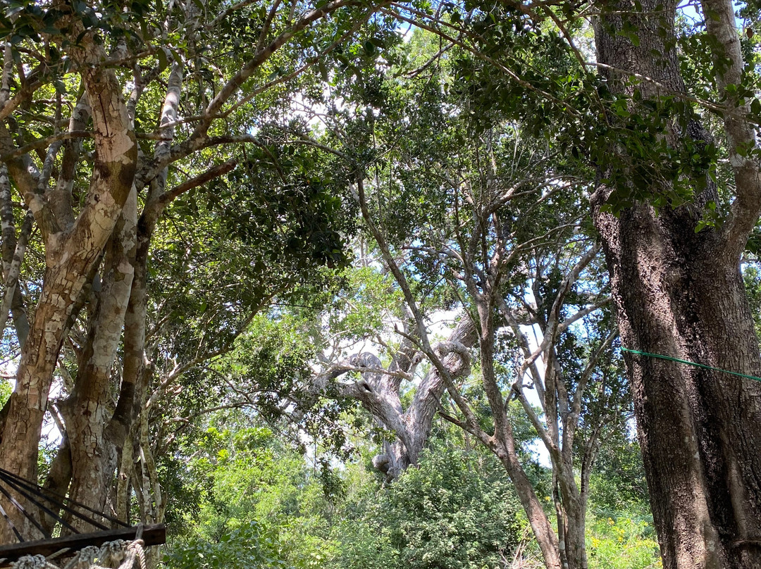 亚勒旅游露营地主图