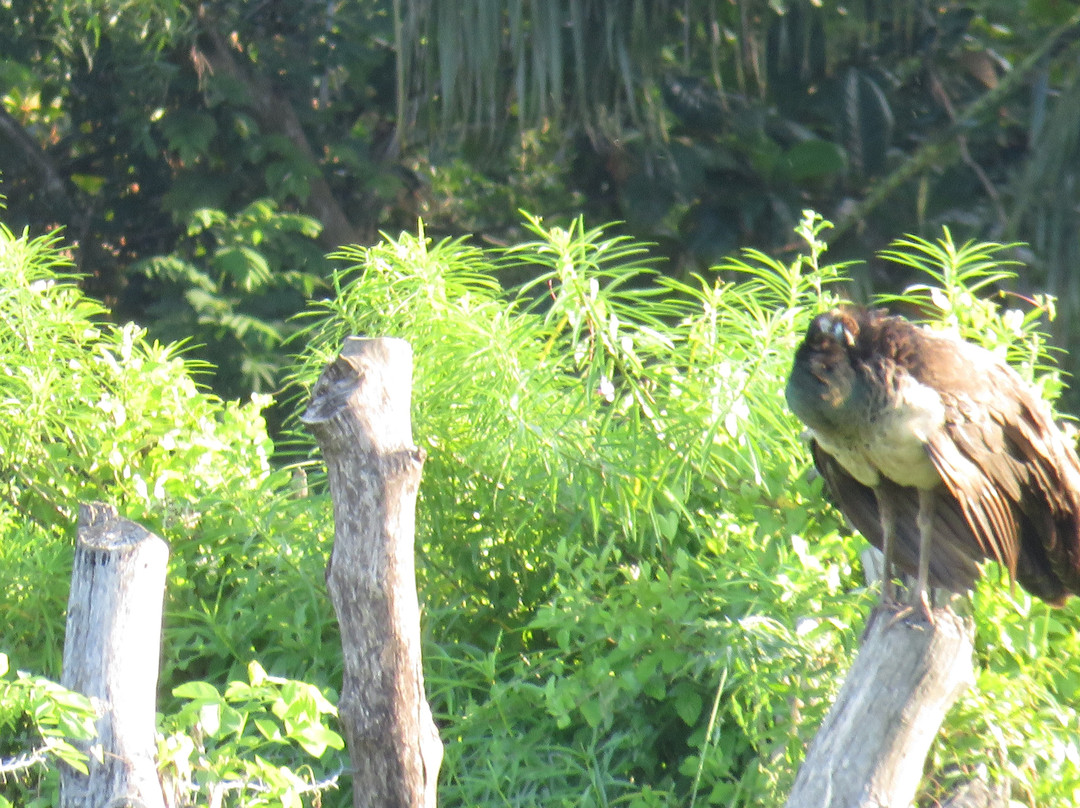 可爱蜜蜂酒店主图