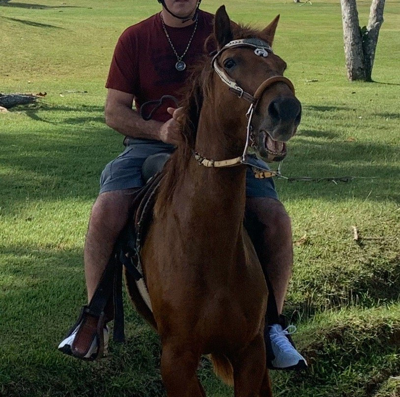 Hacienda El Jibarito主图