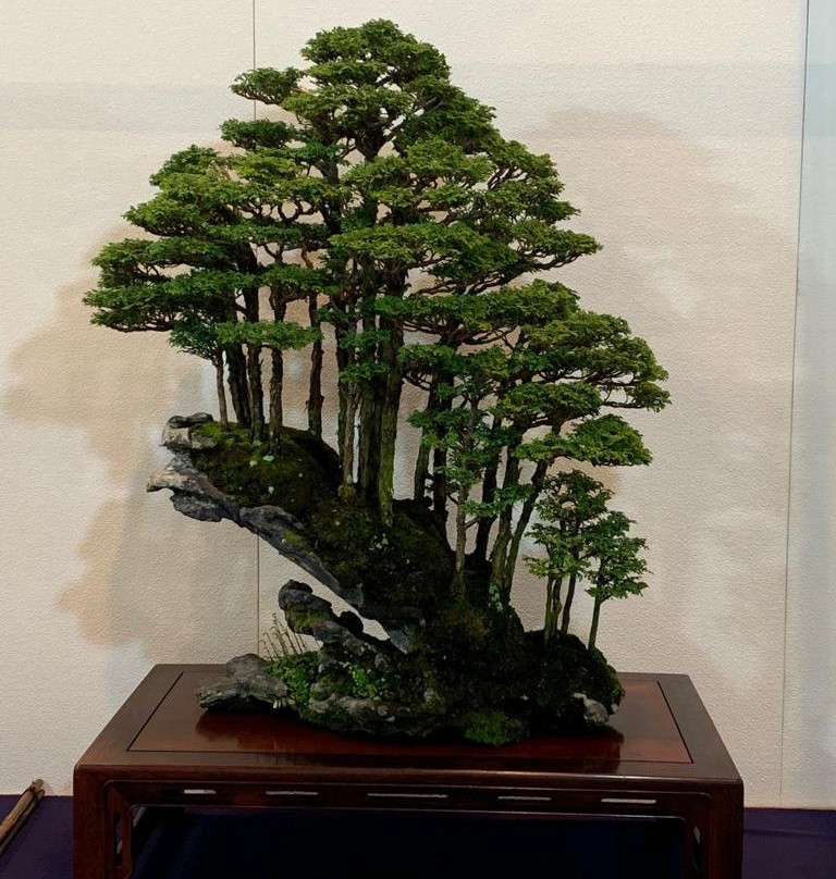 Kokufu Bonsai-Ten-Uenokoen必去景点