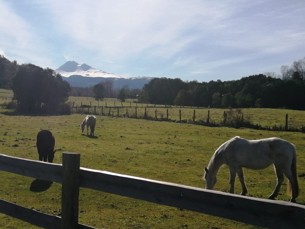 Mayin Artesanias-Cunco必去景点