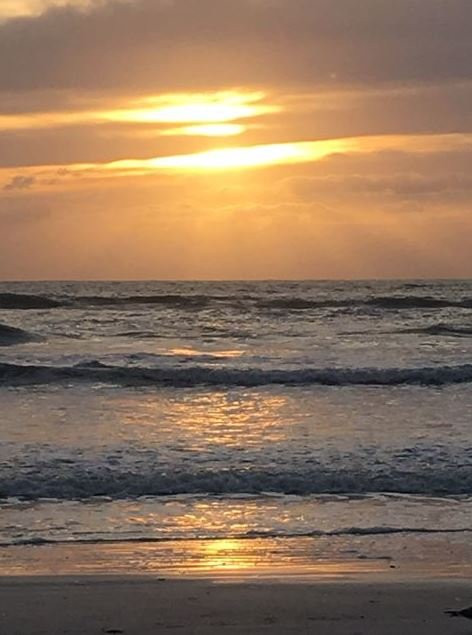 Captiva Beach Resort主图