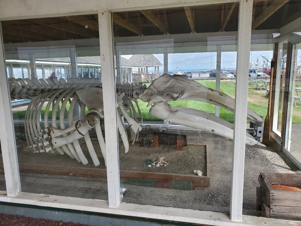 Westport Maritime Museum-Westport必去景点