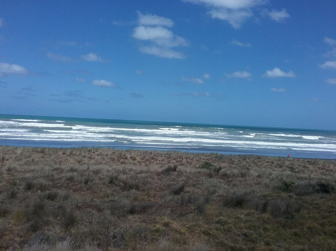 Kariotahi Beach-Waiuku必去景点