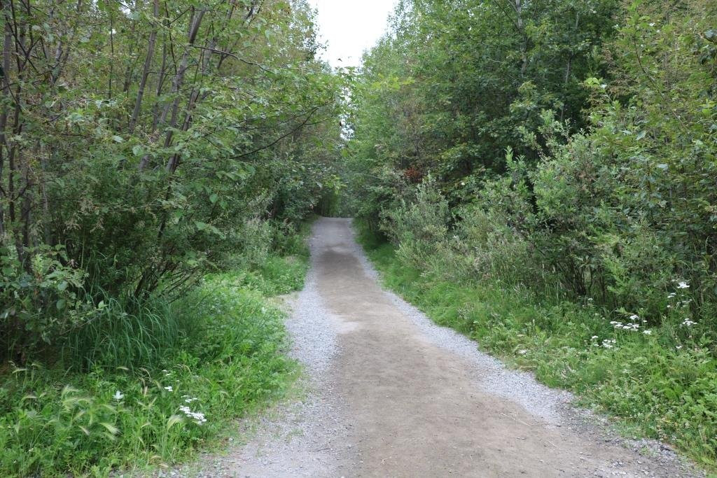Reflections Lake-帕尔默必去景点