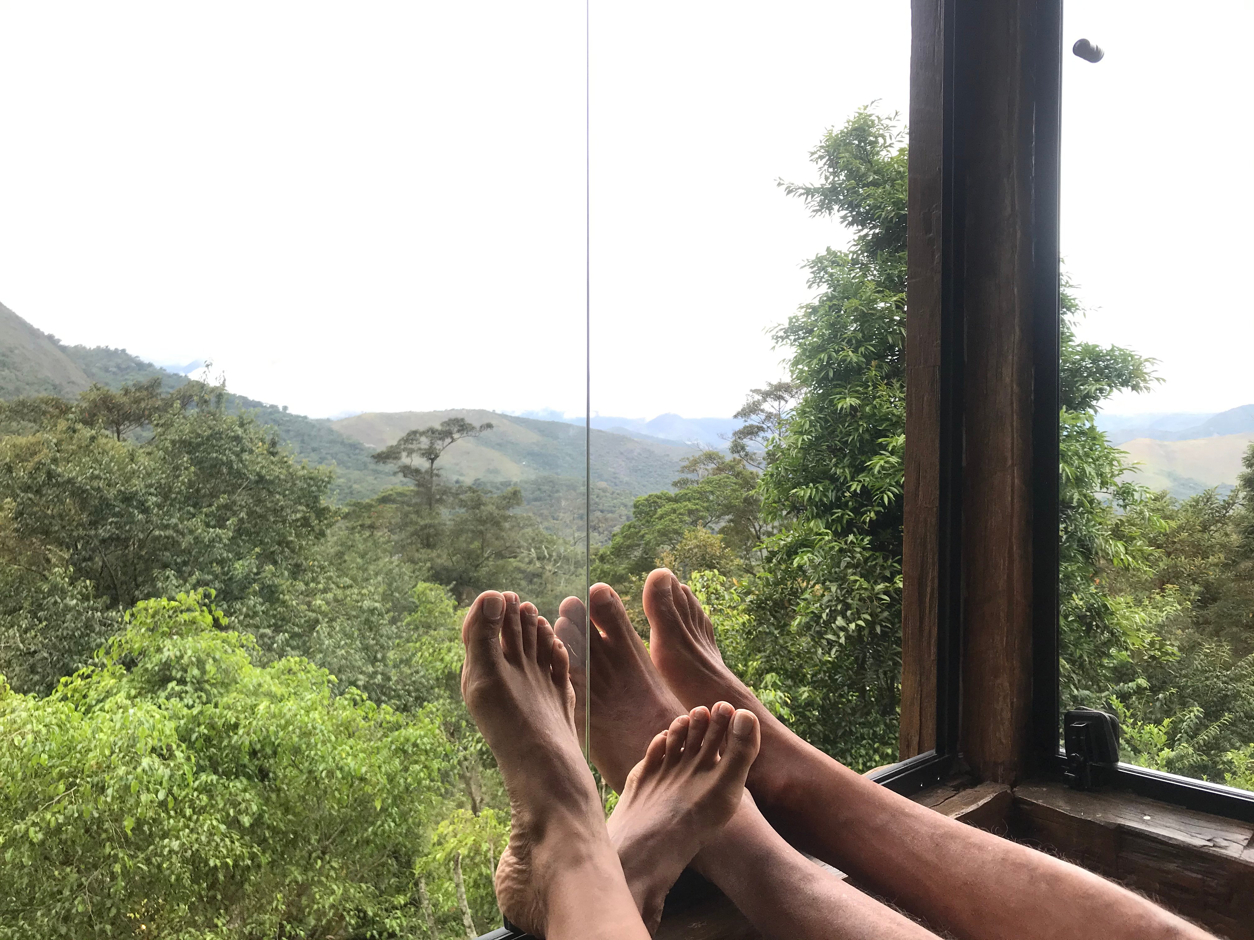 Canto dos Tangaras-官方