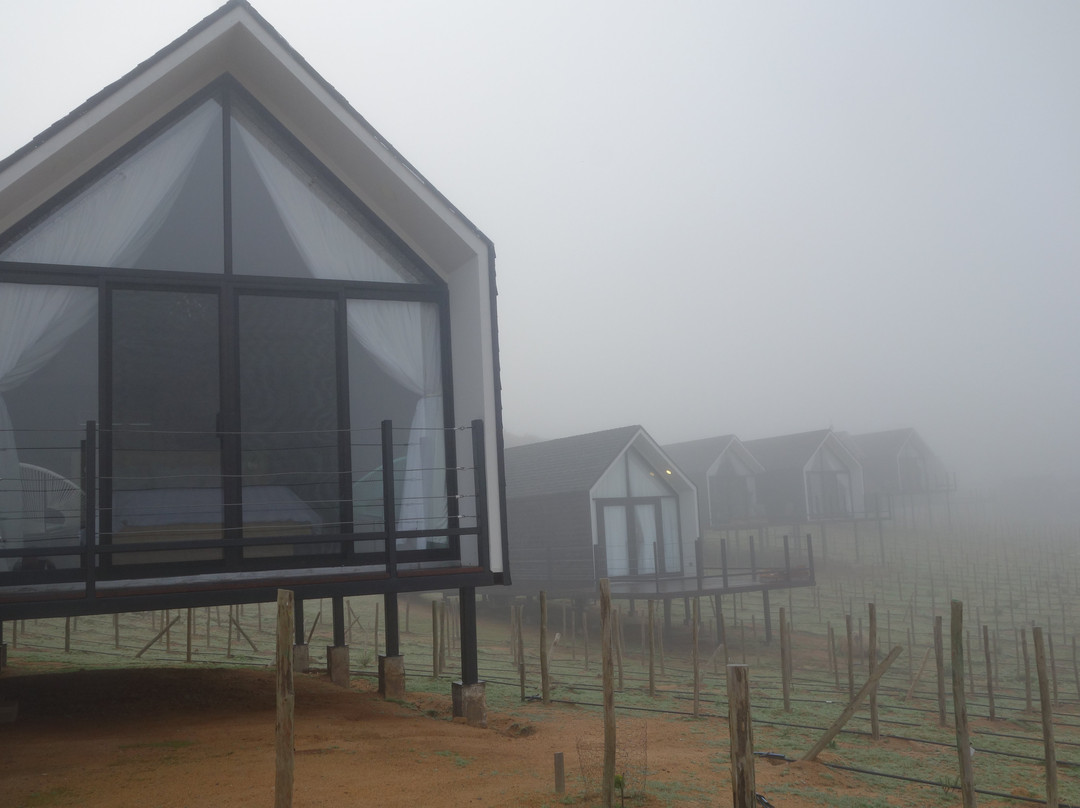 Oeno Wine Lodge主图