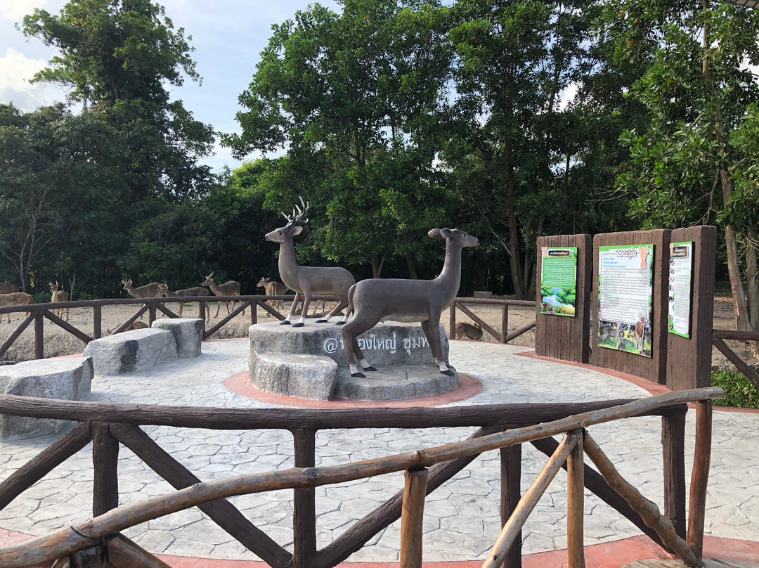 Nong Yai Tang Chang Public Park景点图片