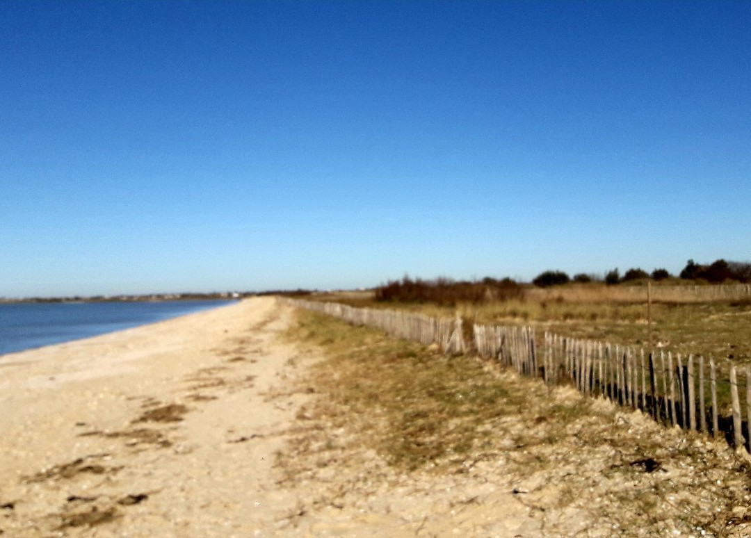 Réserve Naturelle Nationale Moëze-Oléron-Saint Froult必去景点