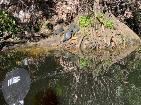 CGT Kayaks-博尼塔斯普林斯必去景点