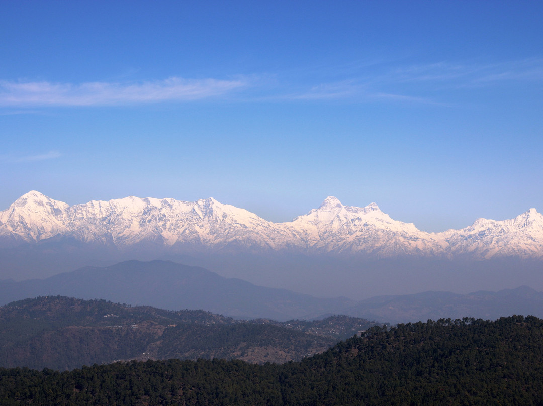 Nest And Hives主图