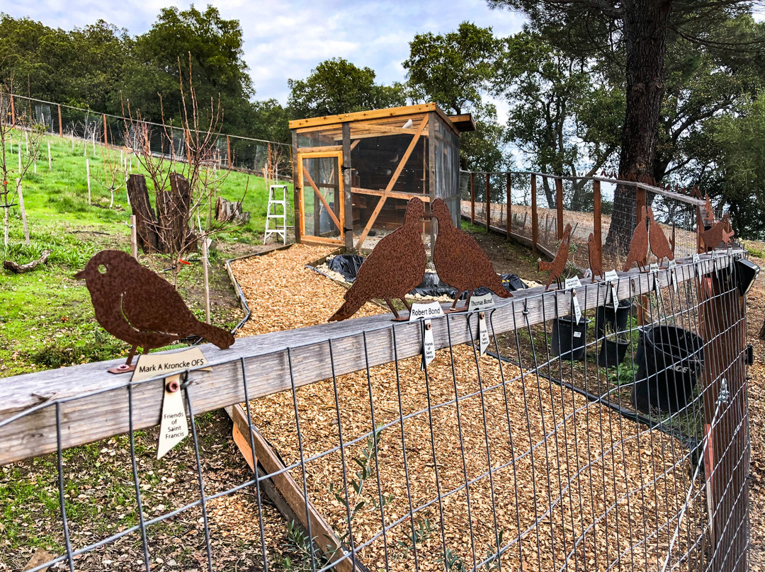 San Damiano Retreat-丹维尔必去景点