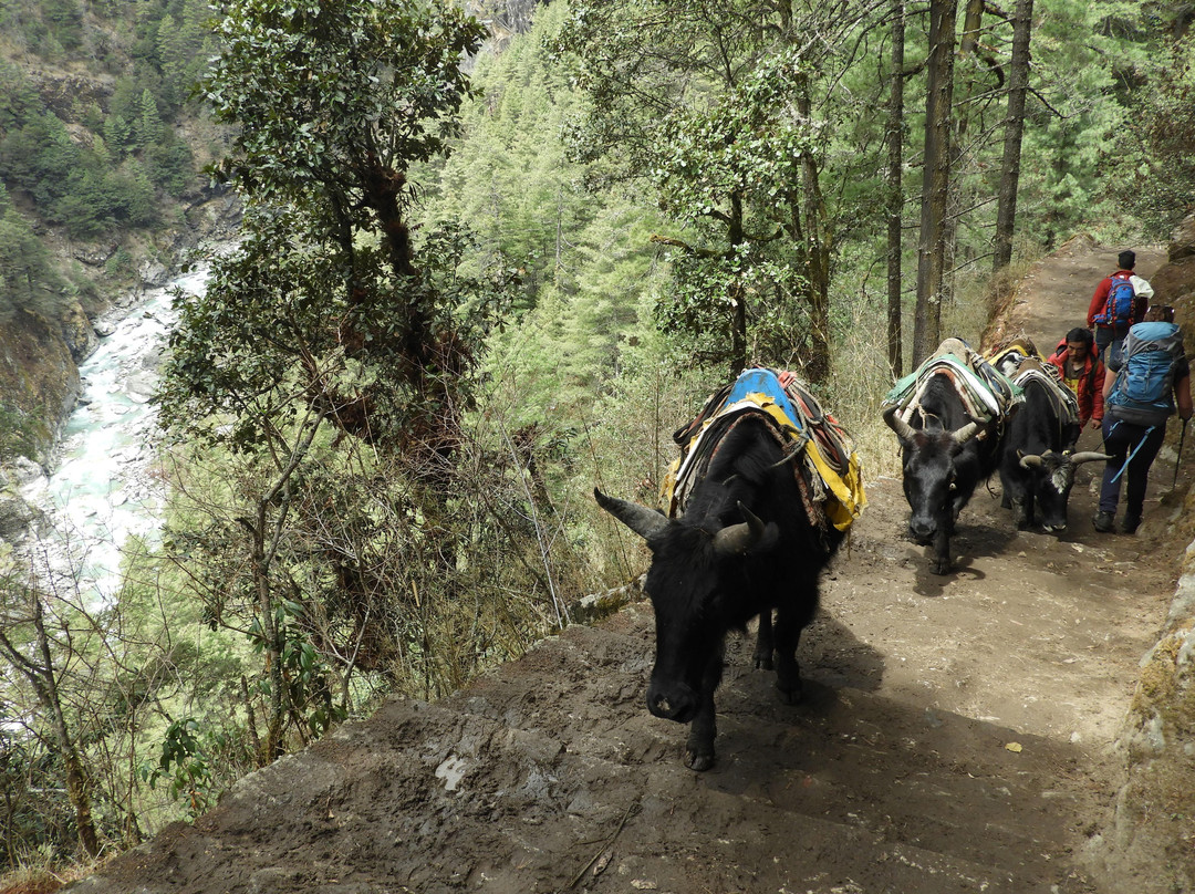 Mountain Brave Adventures-加德满都必去景点