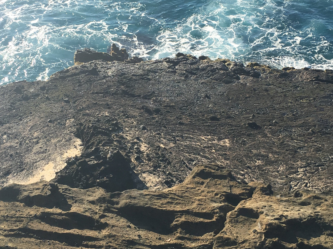 Aloha Trikke-火奴鲁鲁必去景点