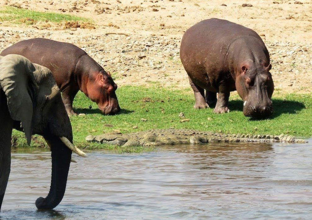 鲁阿哈国家公园旅游攻略图片