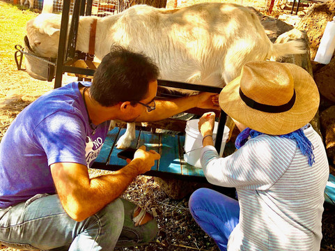 Galo de Allende-Mezcala必去景点