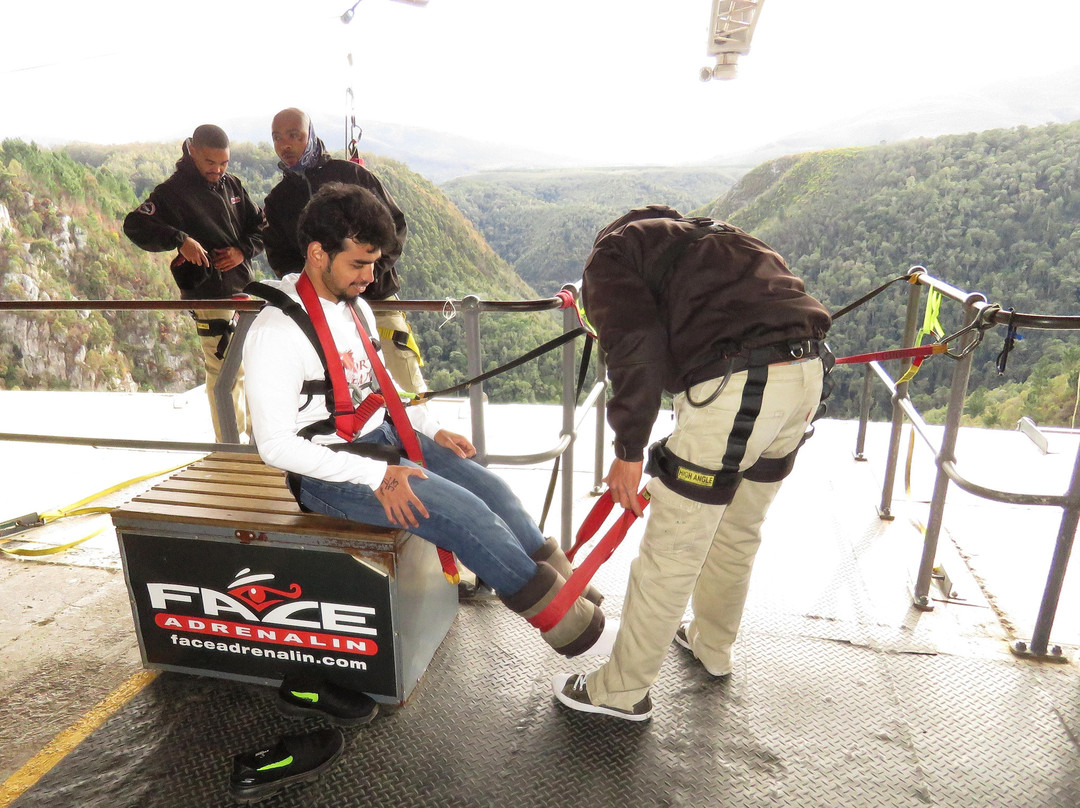 Wolf Shuttles-开普敦中心区必去景点