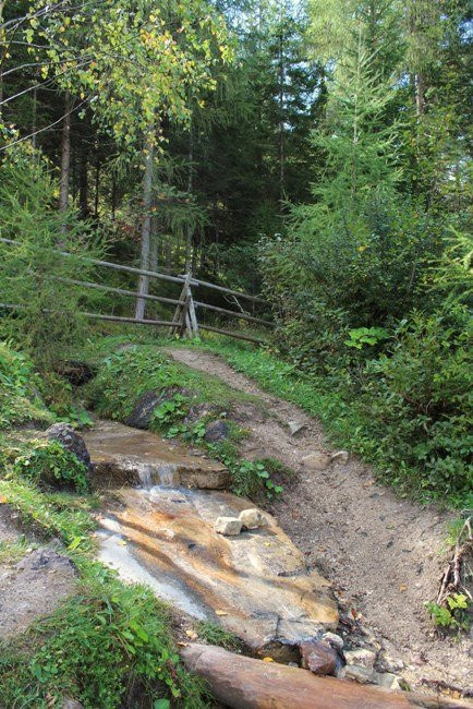 Escursione Per Famiglie: Sorgenti della Drava-圣坎迪多必去景点