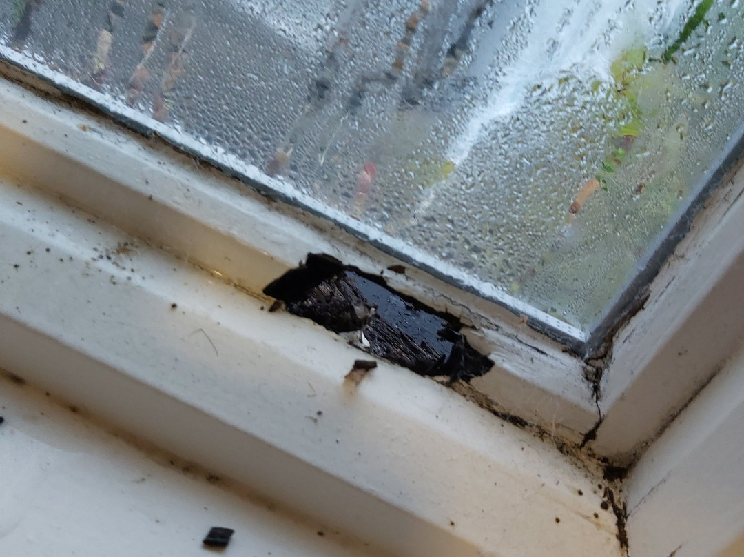 The White Lion Inn主图