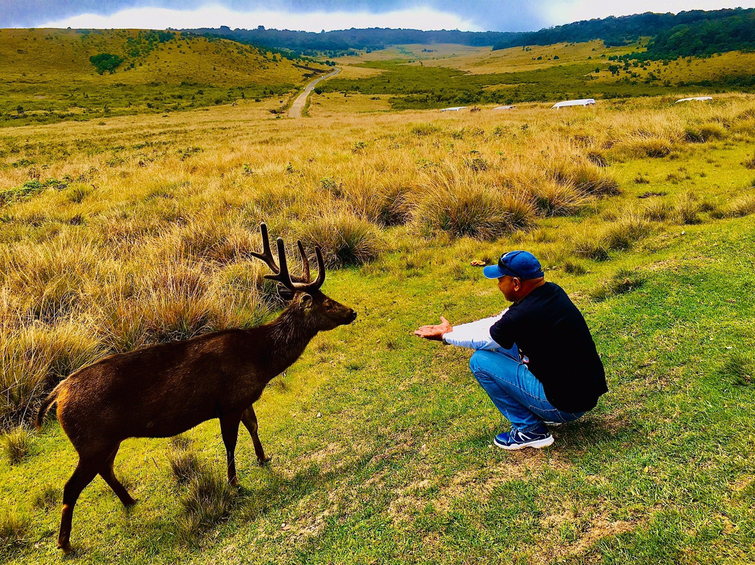 Prasad Tours & Travels Ceylon-Chilaw必去景点