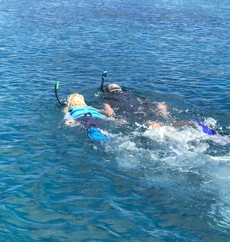 Baja's Awesome Whales & Dolphins景点图片
