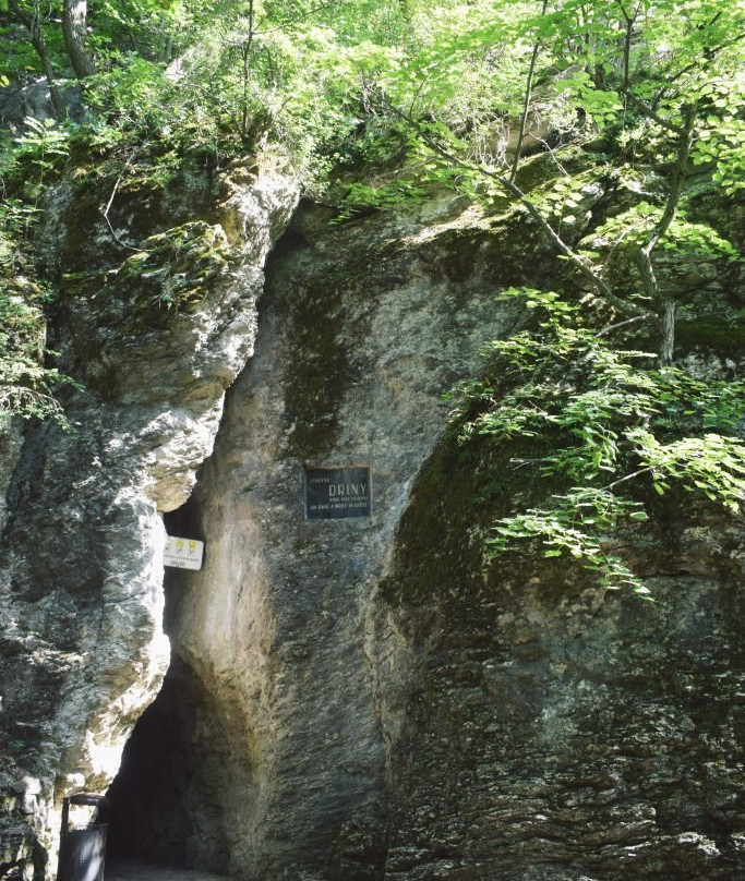 Driny Cave景点图片
