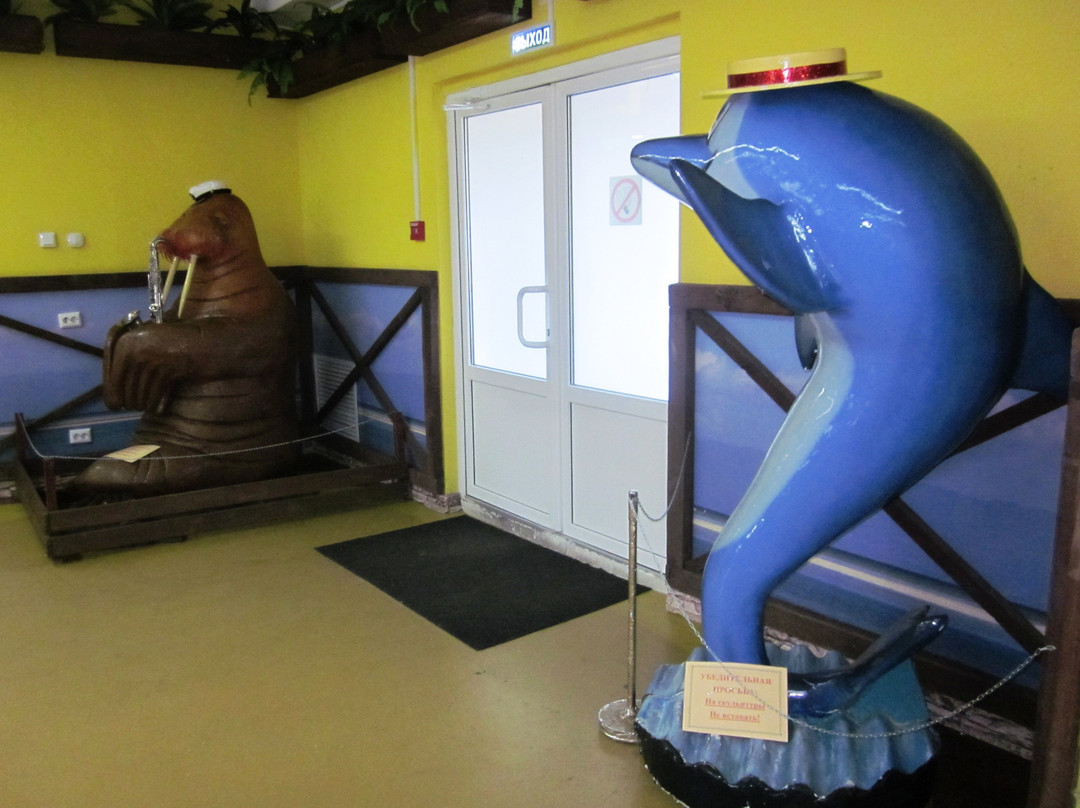 Dolphin Planet景点图片