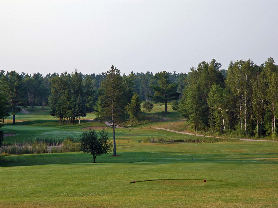 Whitetail Golf Club景点图片