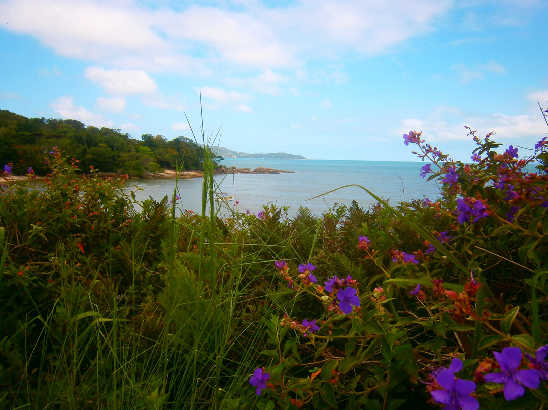 Triste Beach-Bombinhas必去景点