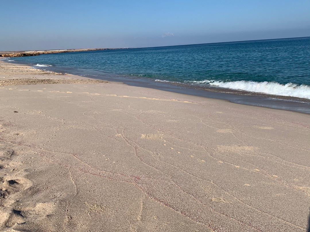 Resort Ras Al Hadd Holiday主图