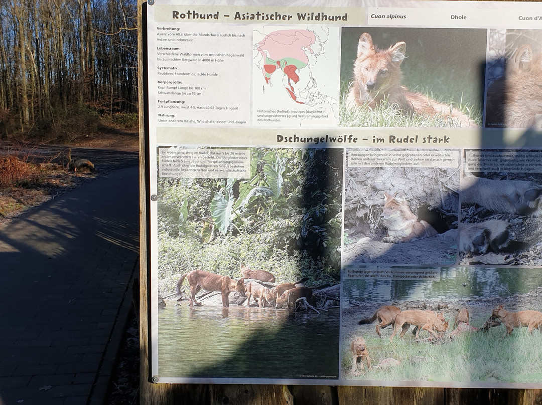 Neunkircher Zoologischer Garten-Neunkirchen必去景点
