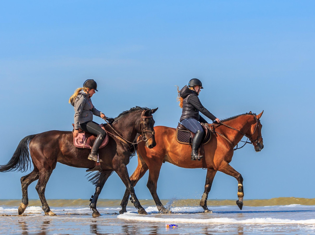 Unlimited Adrenaline-雅典必去景点