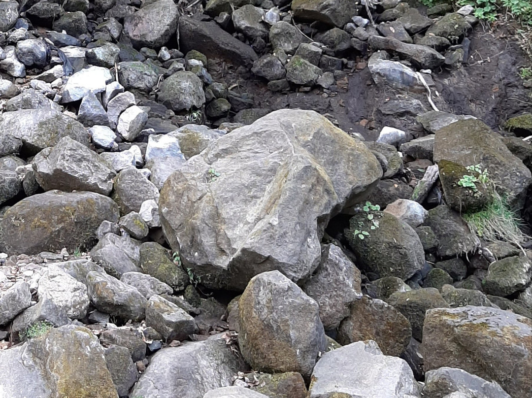 Parque Ecoturistico Dos Aguas-Tlalmanalco必去景点