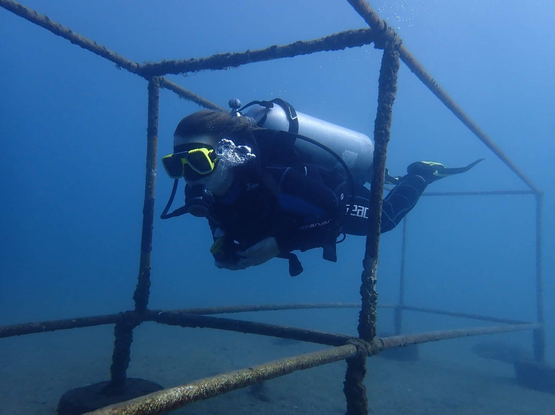 Reto Muller-位于塔甘加必去景点