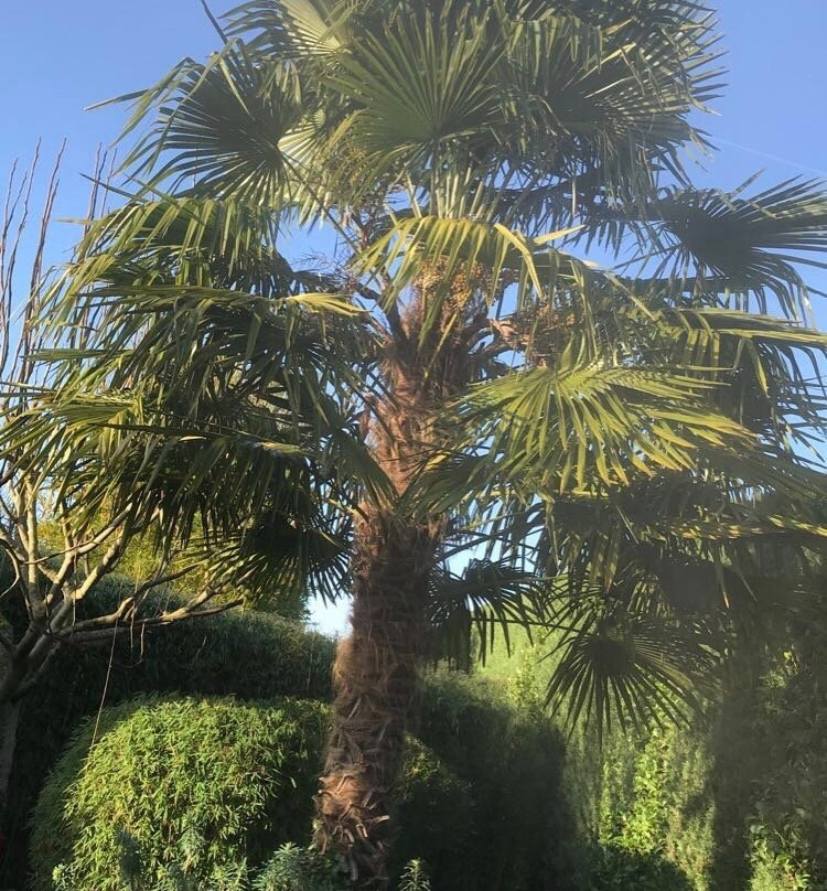 Le Jardin Spa景点图片