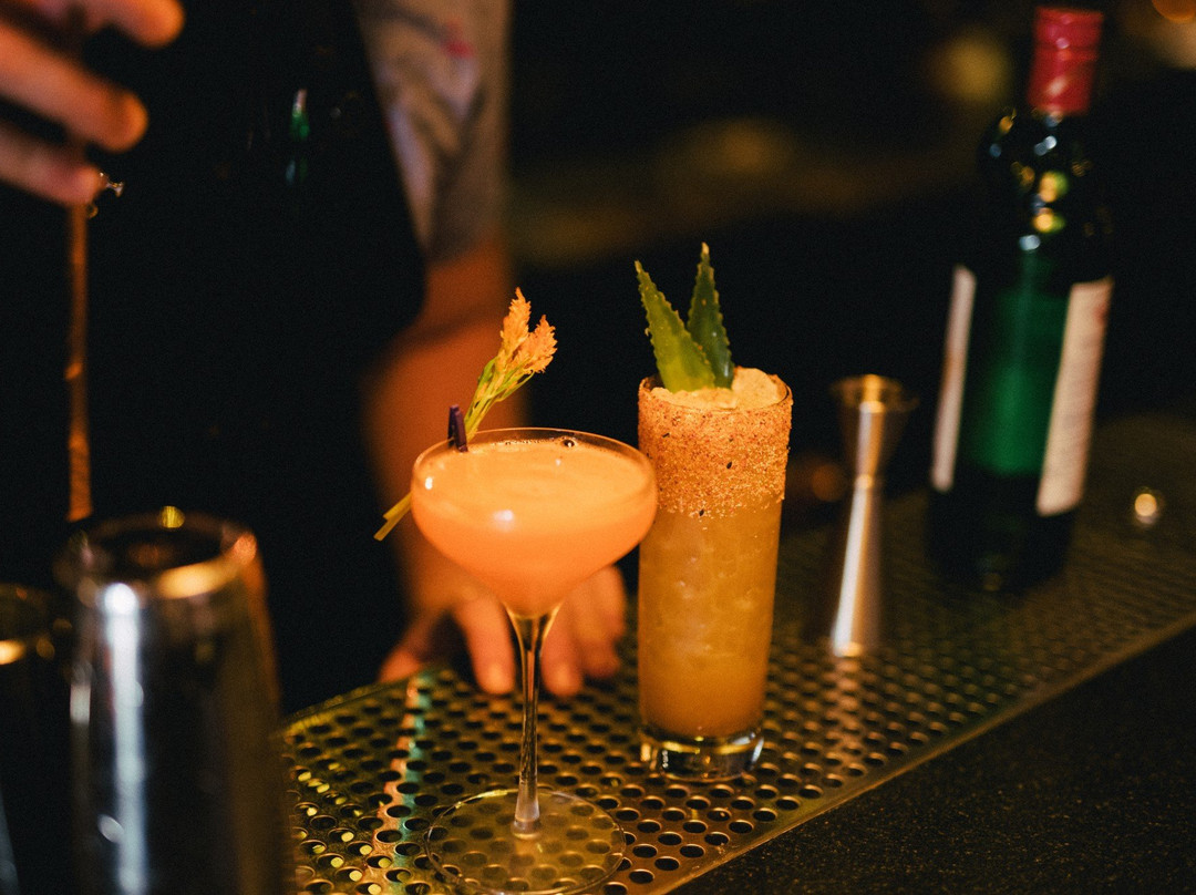 The Sylvester-迈阿密必去景点