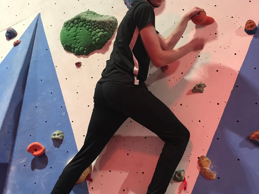 The Pinnacle Climbing Centre景点图片
