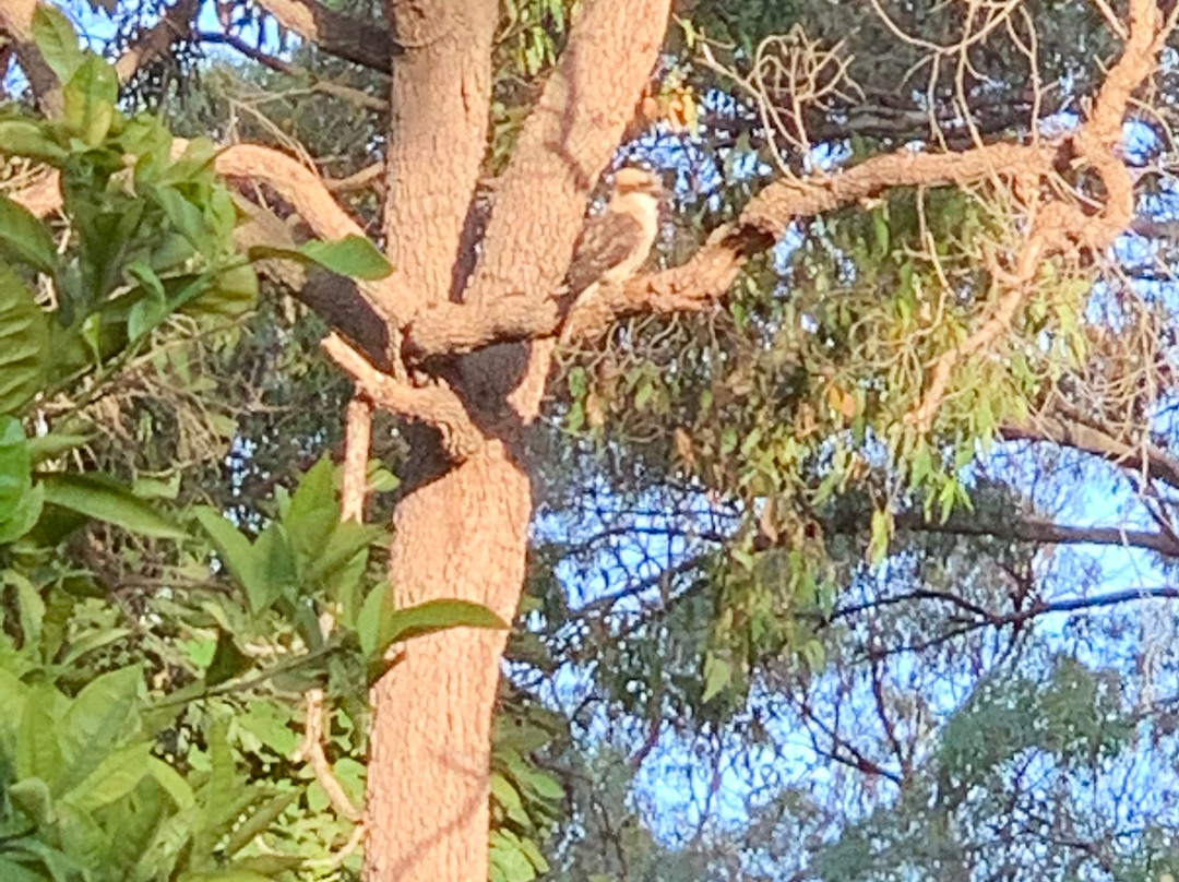 Devonleigh Bed & Breakfast主图