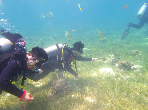 394DIVE-马丹岛必去景点