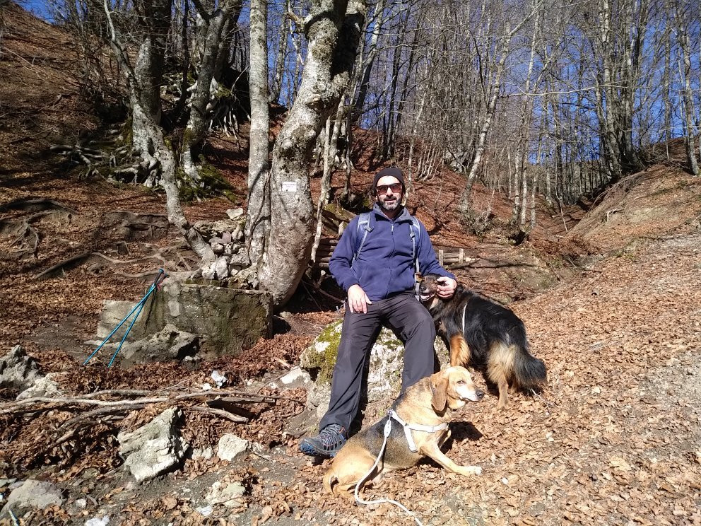 Bosco La Costara di Sasso di Castalda景点图片
