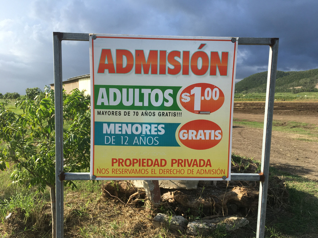 Finca El Girasol-Guanica必去景点