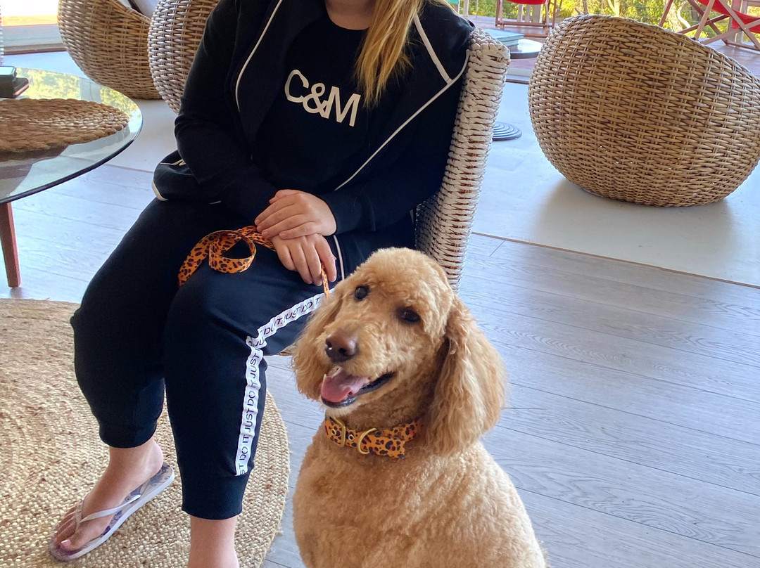 斯安克开普敦美景酒店主图