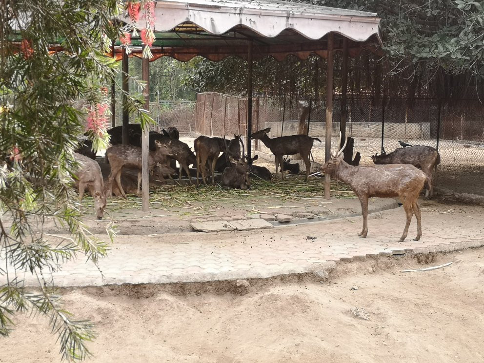 Siddharth Garden-奥兰卡巴必去景点