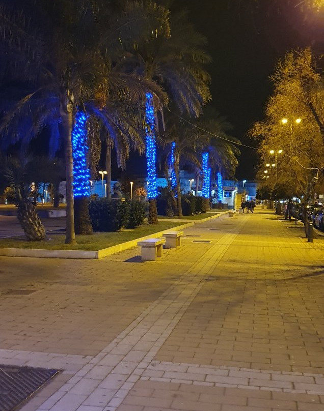 Civitavecchia Tours-奇维塔韦基亚必去景点